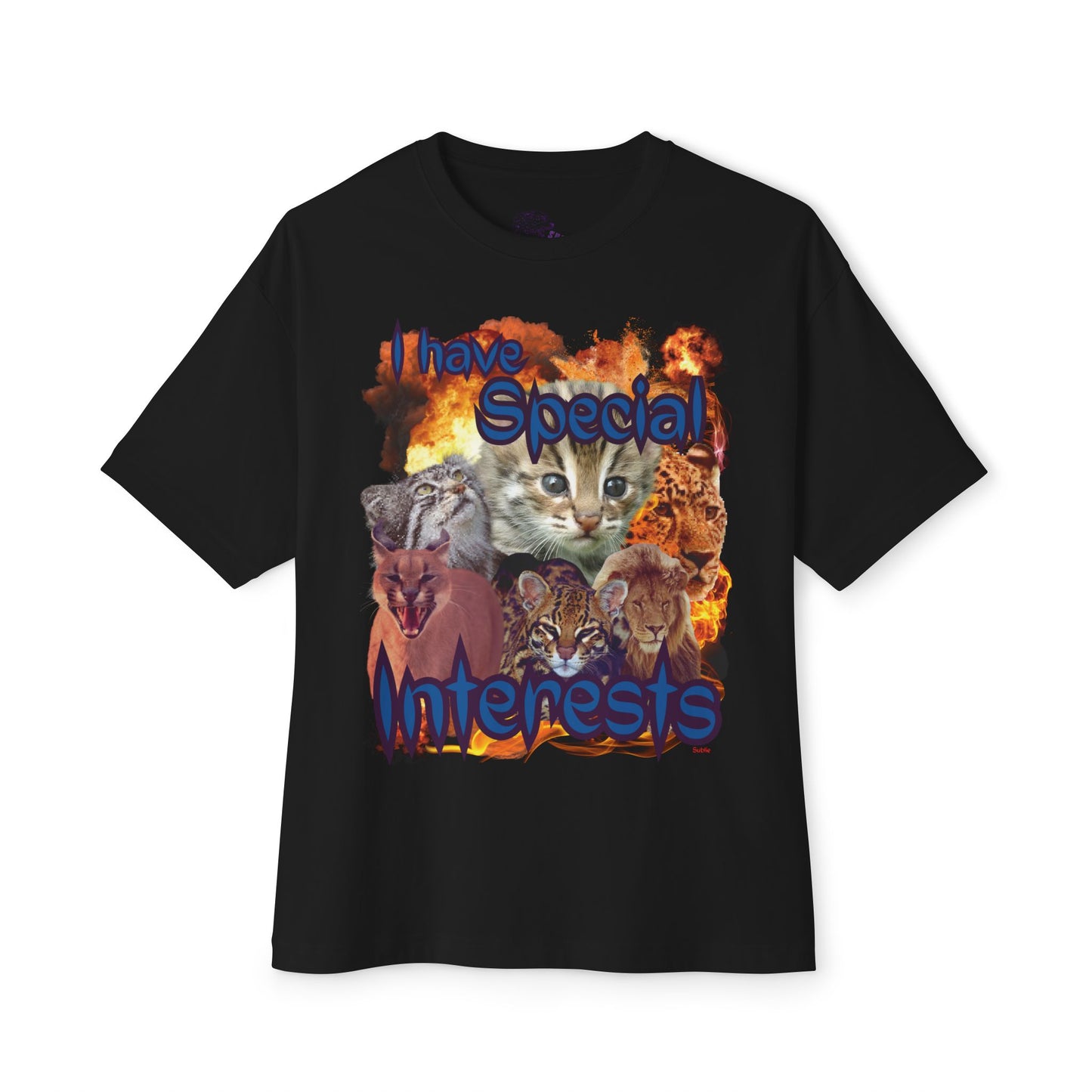 "I Have Special Interests" Funny Cat Oversized Tee