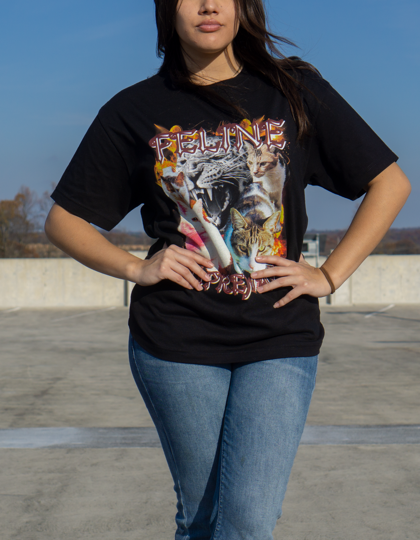 Feline Supremacy Funny Cat Oversized Tee