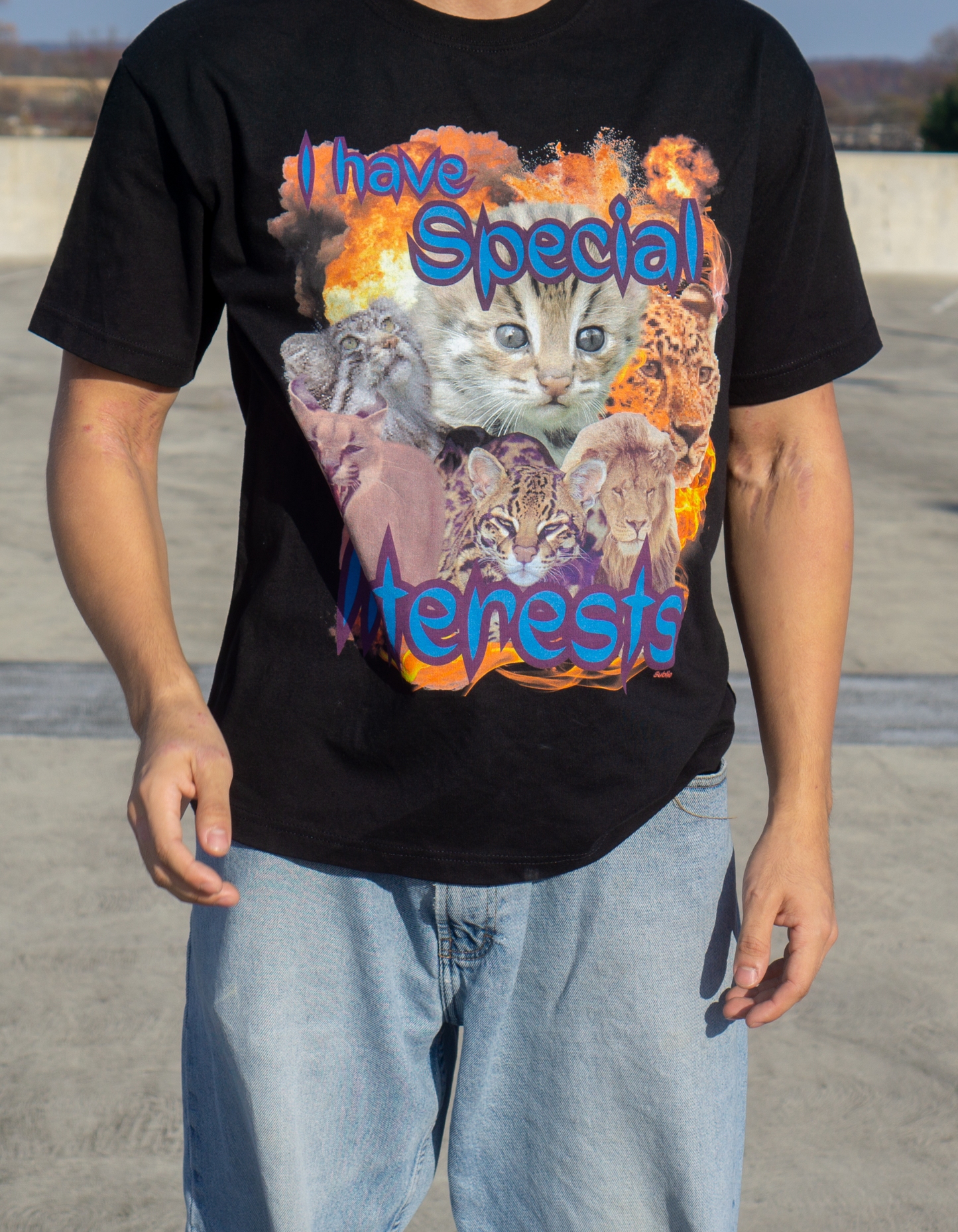"I Have Special Interests" Funny Cat Oversized Tee