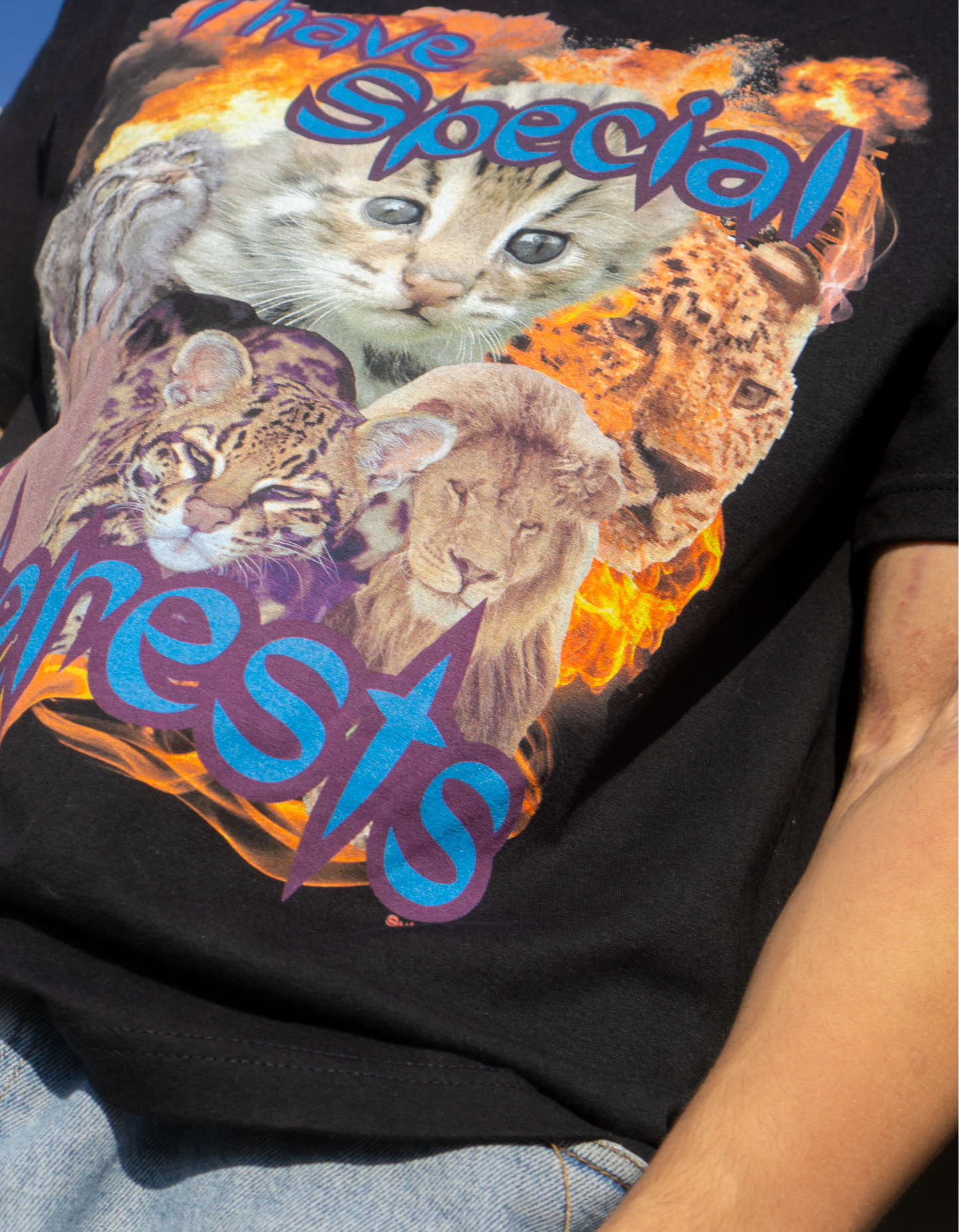 "I Have Special Interests" Funny Cat Oversized Tee