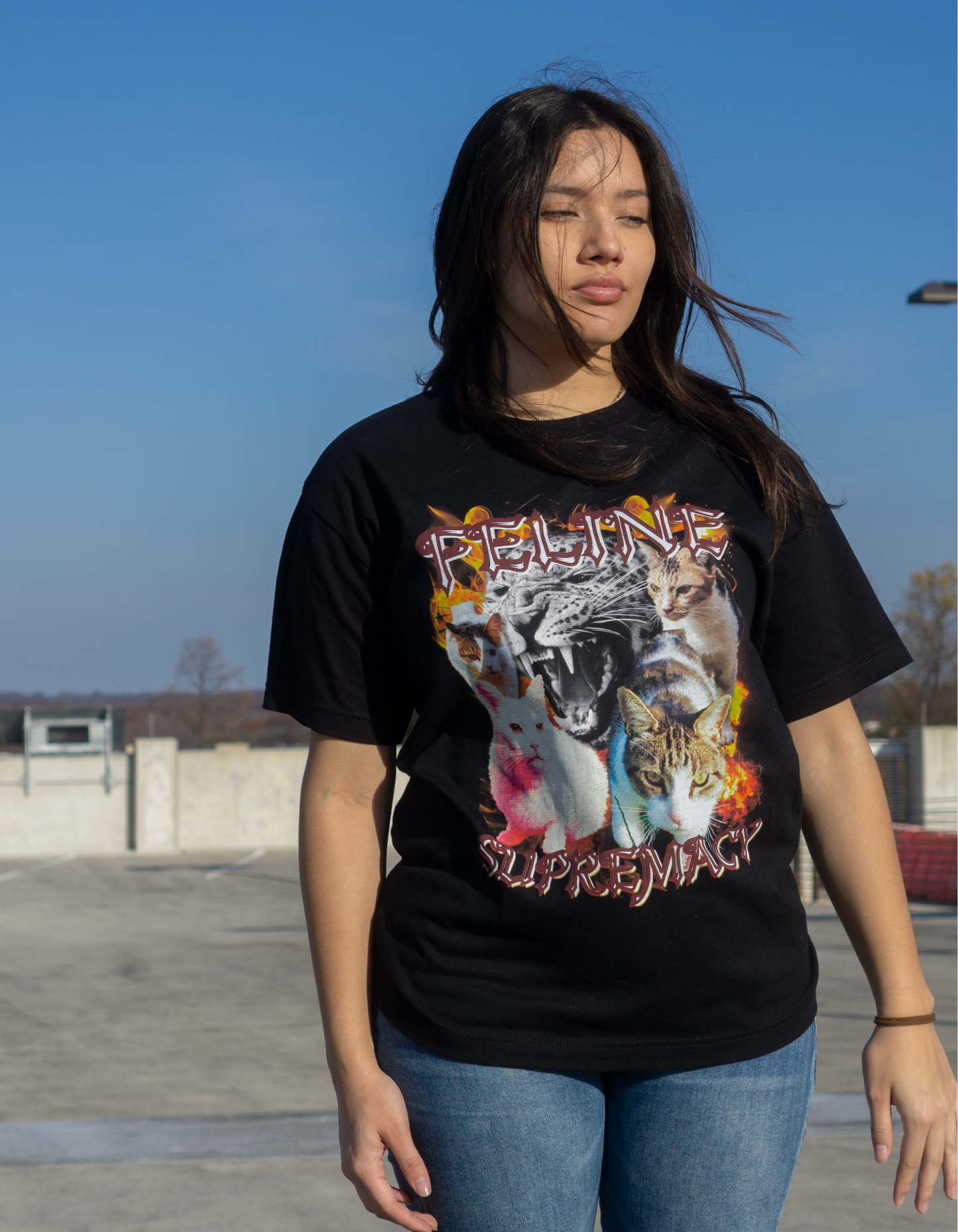 Feline Supremacy Funny Cat Oversized Tee